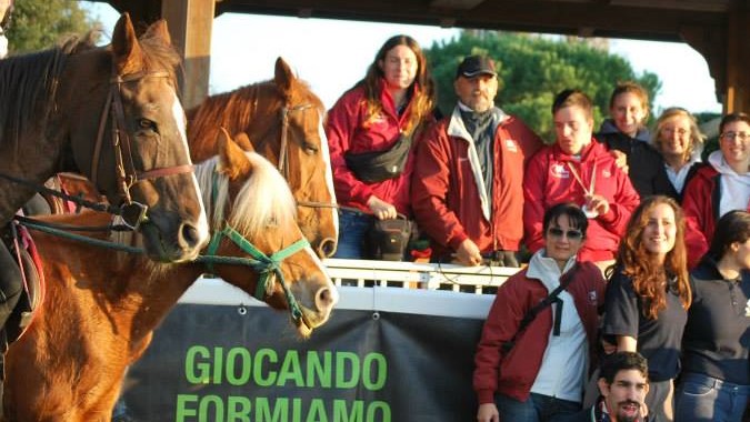 Il miglior cavallo da scuola: a chi dai il tuo premio?