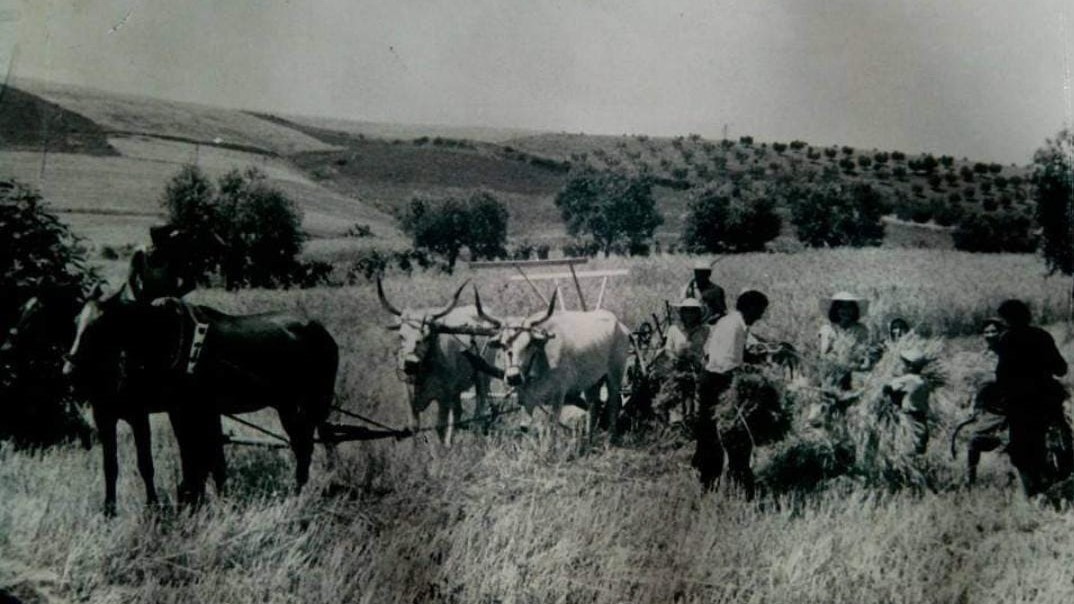 Dalla Puglia con…due cavalli: un bisnonno speciale