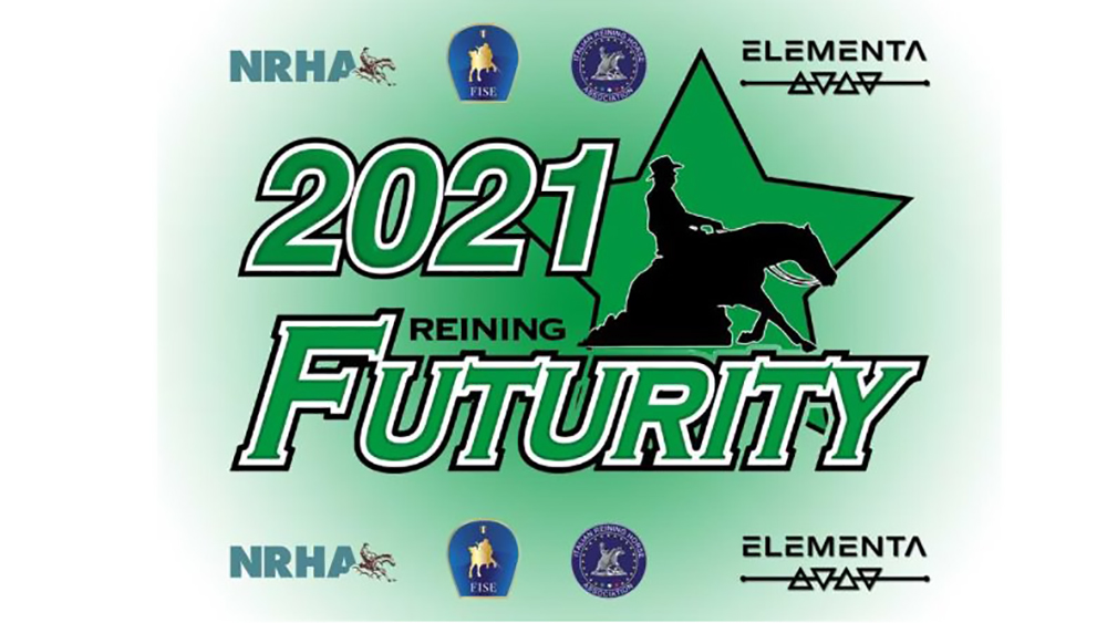 Cremona: il grande reining guarda al Futurity