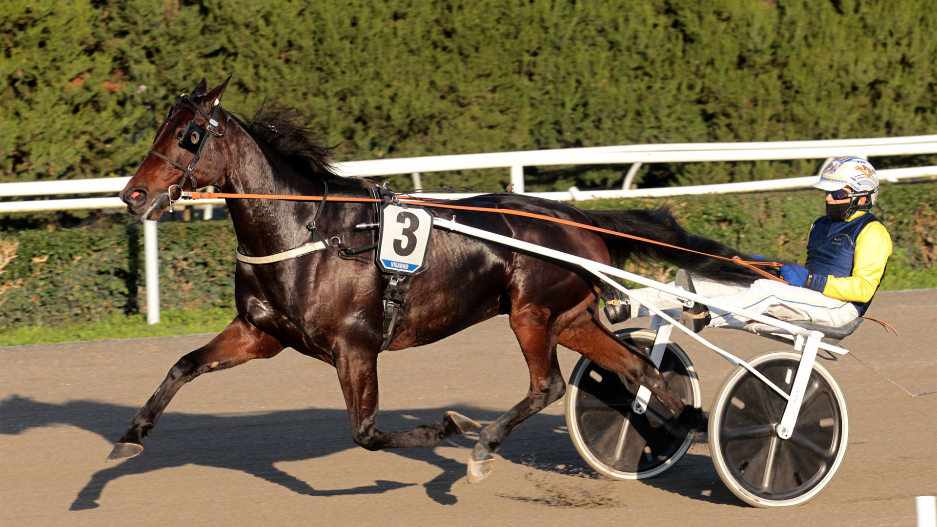 Al Visarno un “Duomo” da brividi