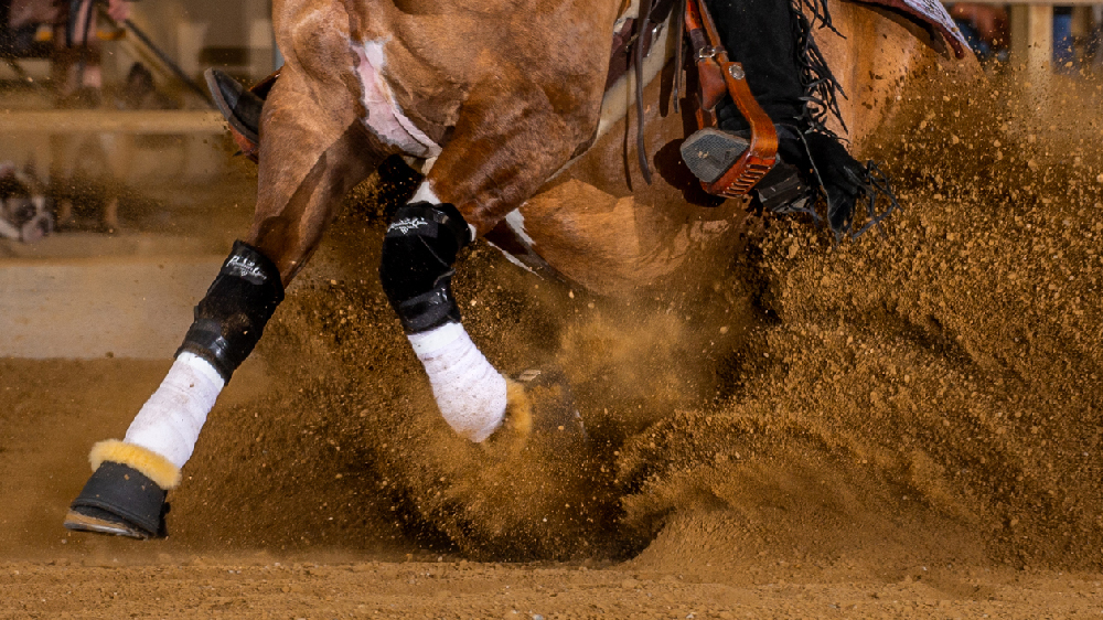 Reining in Fei: 20 anni buttati