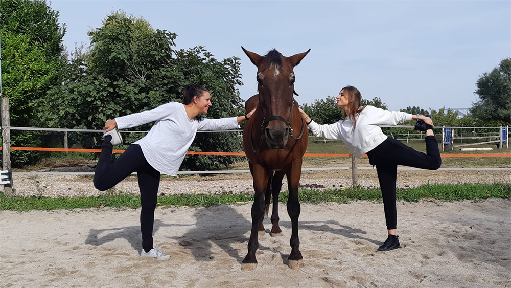 Il cavallo che fa bene: Equi-Yoga