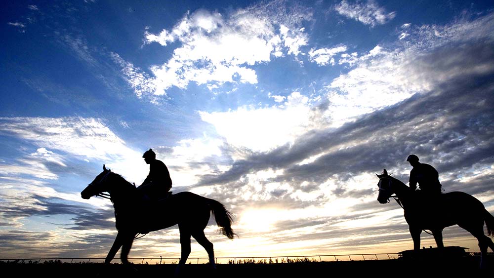 New York State fa scuola