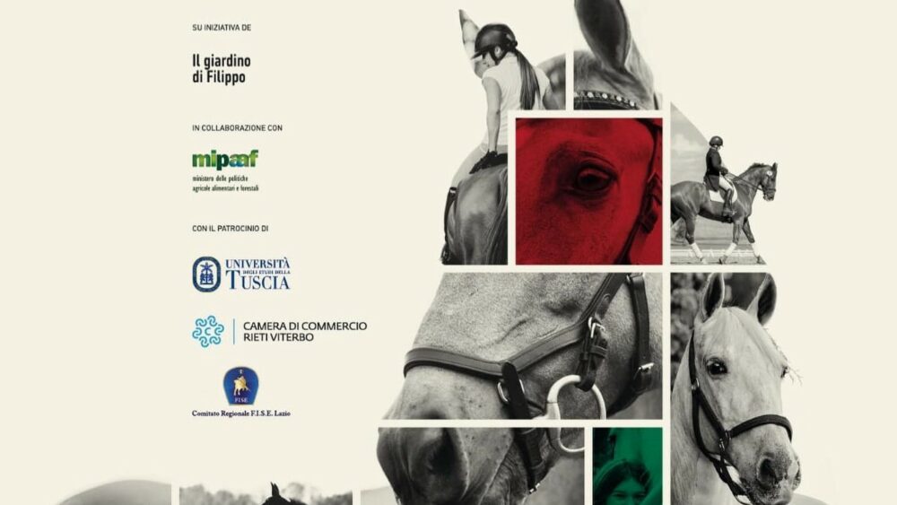 Viterbo: Cavalli a Natale, buona la prima