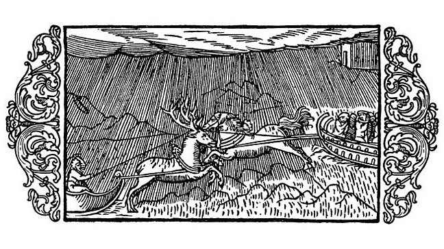 La vera storia delle renne, dei cavalli e di una notte speciale