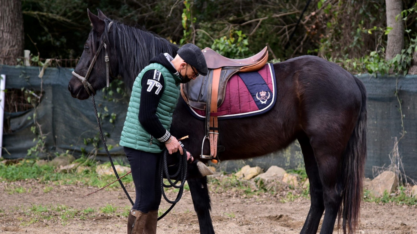 ANAREAI, prima prova di addestramento del cavallo Tolfetano