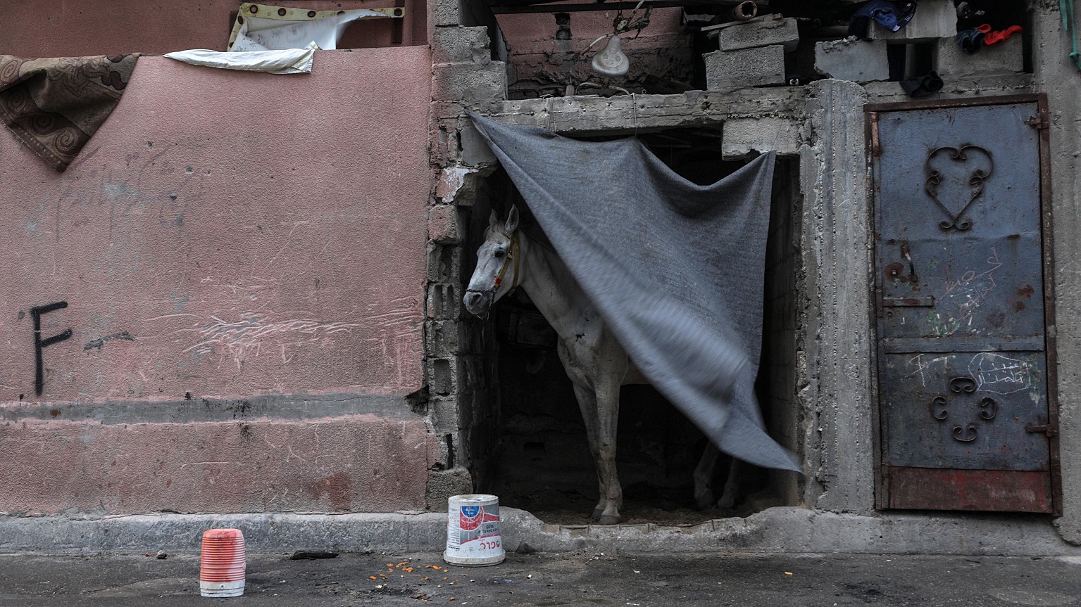 gaza