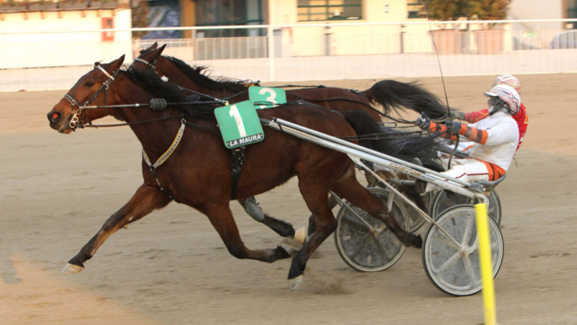 Domenica di gala all’ippodromo Snai la Maura