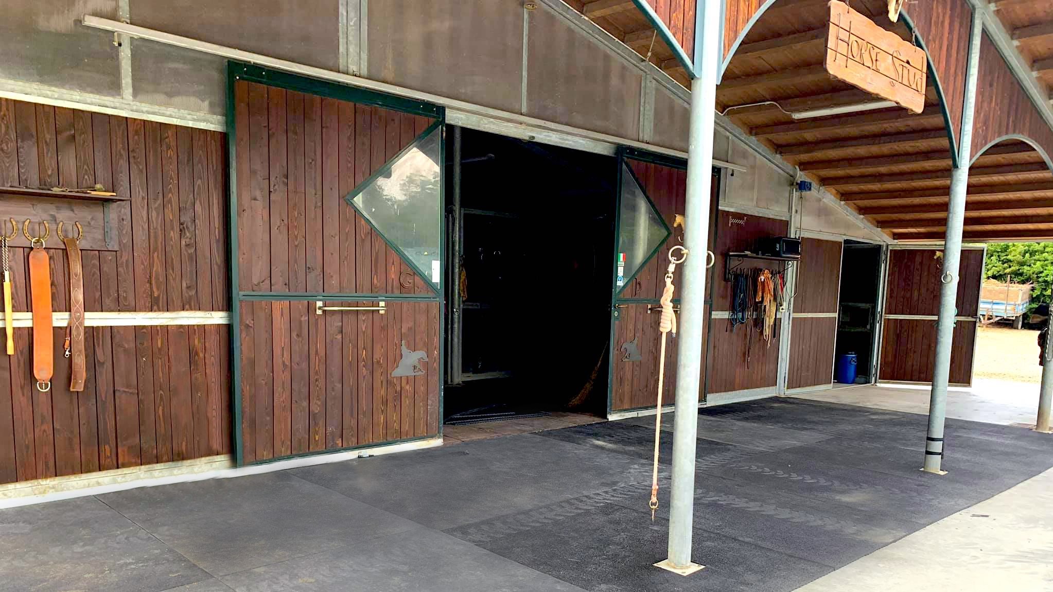 Sicurezza per il vostro cavallo, dentro e fuori dal box