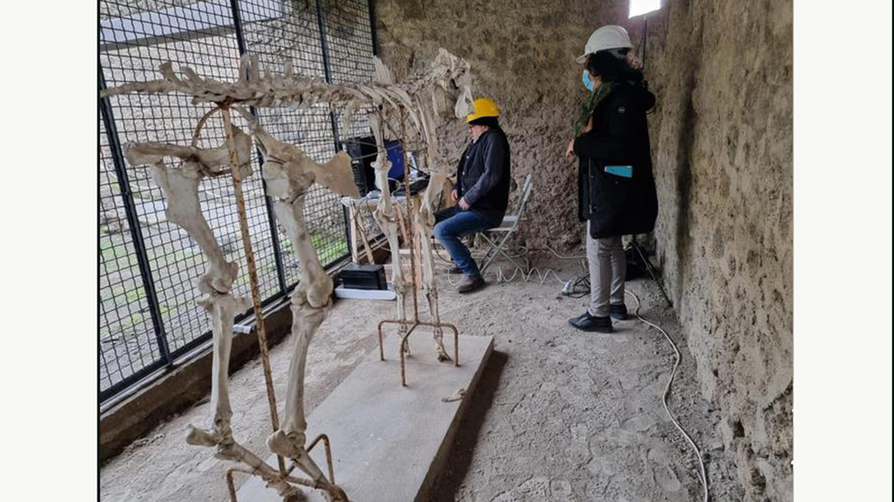 Al via il restauro del cavallo di 2000 anni