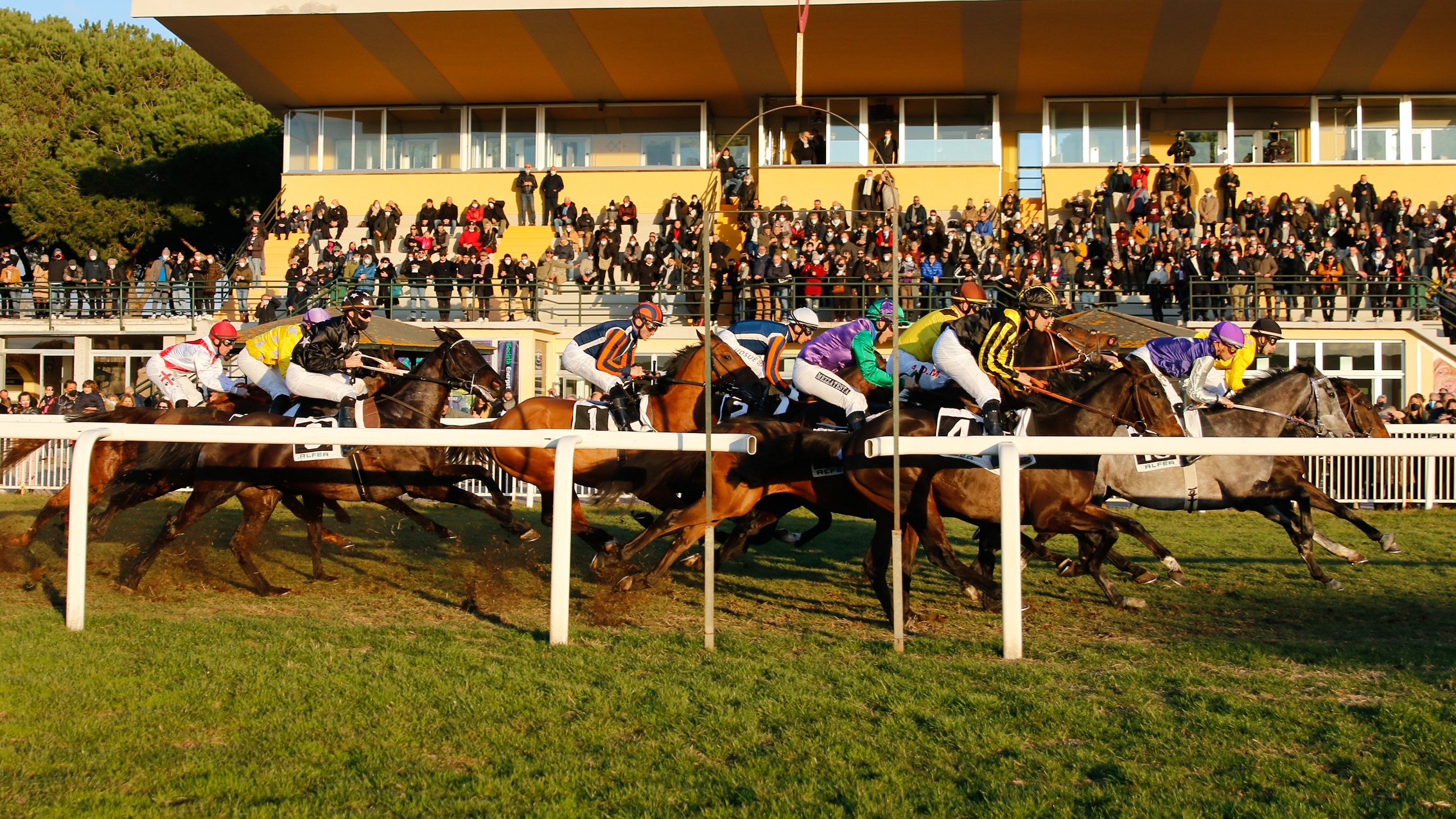 Ippodromo di San Rossore: torna la primavera dell’ippica pisana
