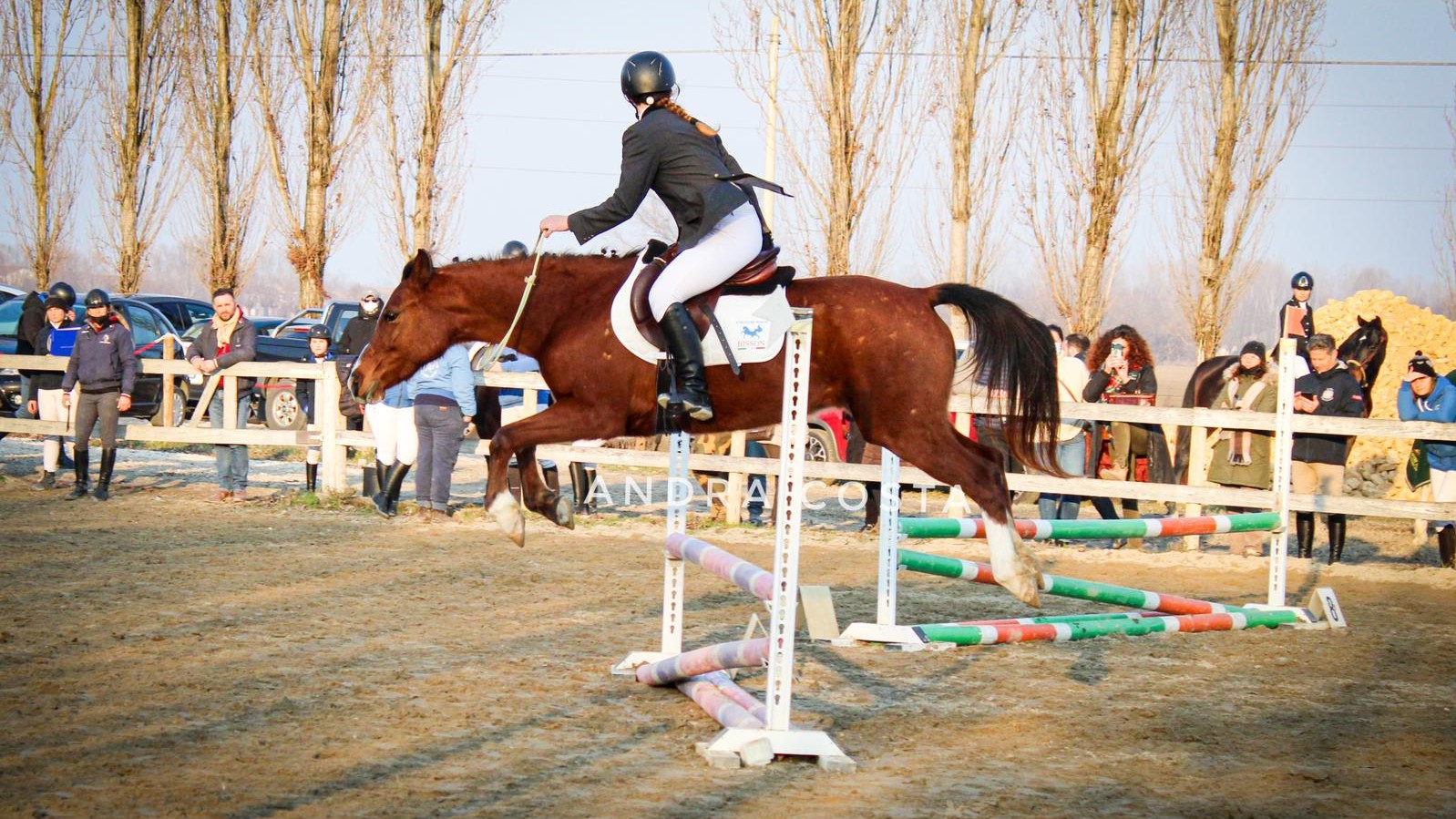 A Rovigo il 2° Trofeo Bitless, dove l’armonia è di regola