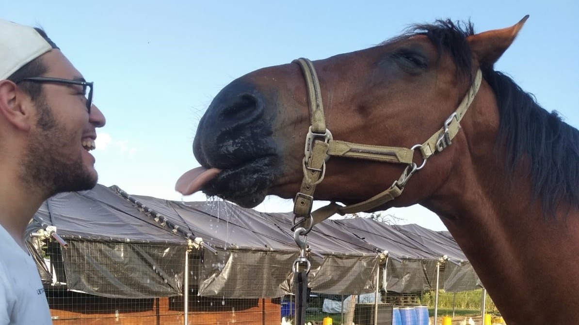 Storia di Federico, di Icaro e di una mamma che ha paura dei cavalli