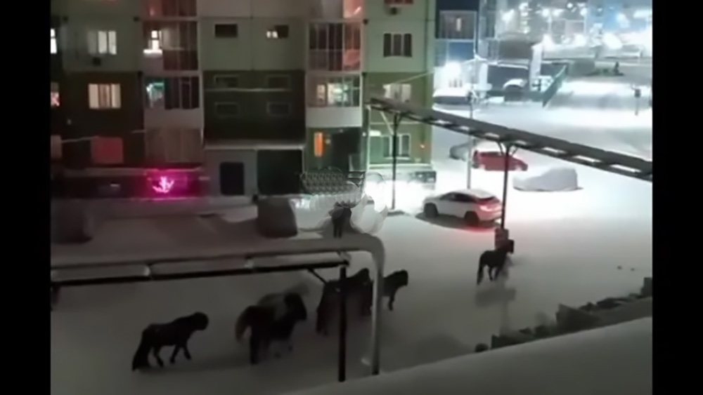 Yakutia, dall’altra parte della Russia…