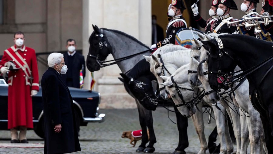 Il Presidente Mattarella, la cultura e i cavalli