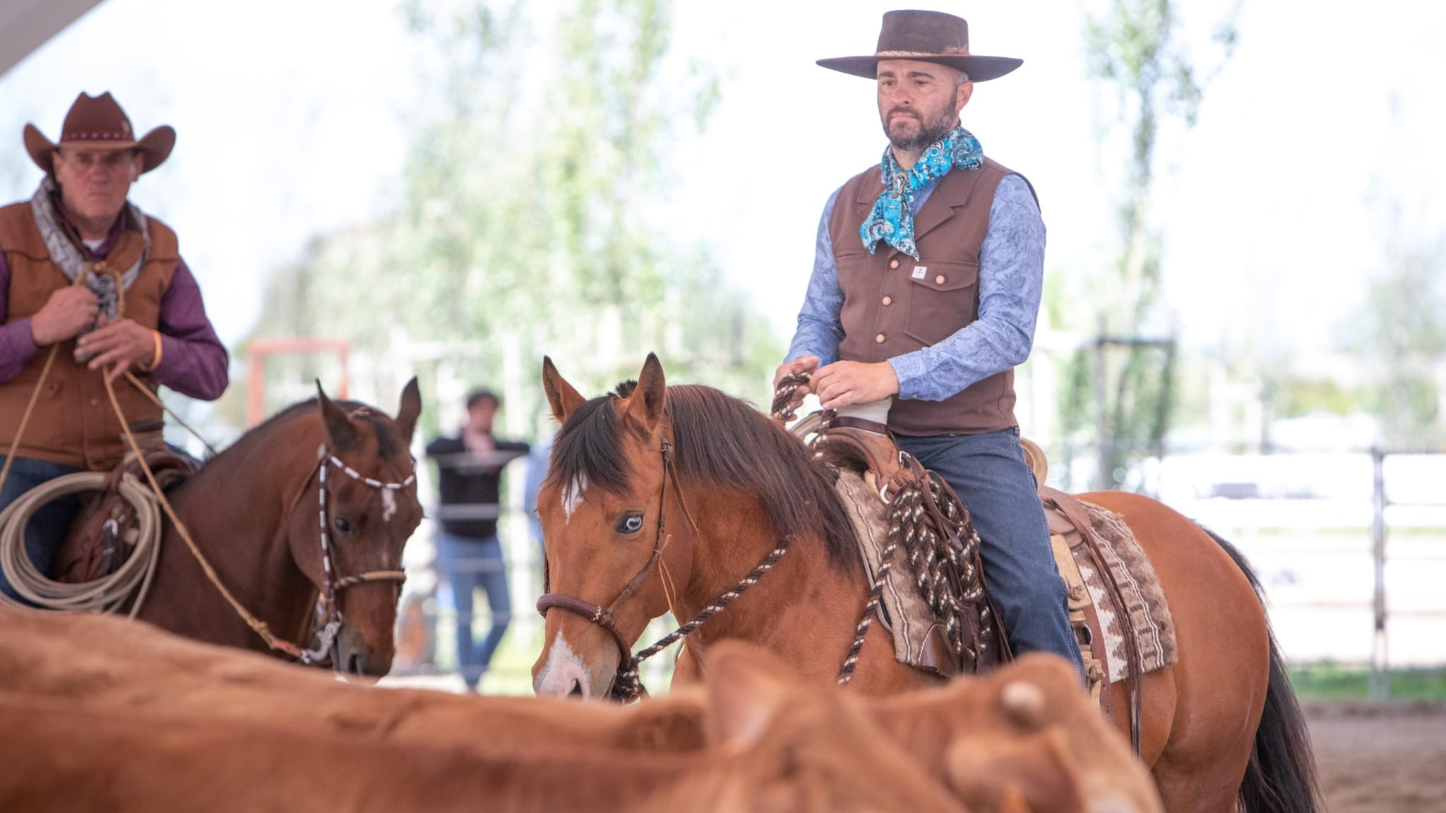 Vaquero Horse Riding: la variante californiana!