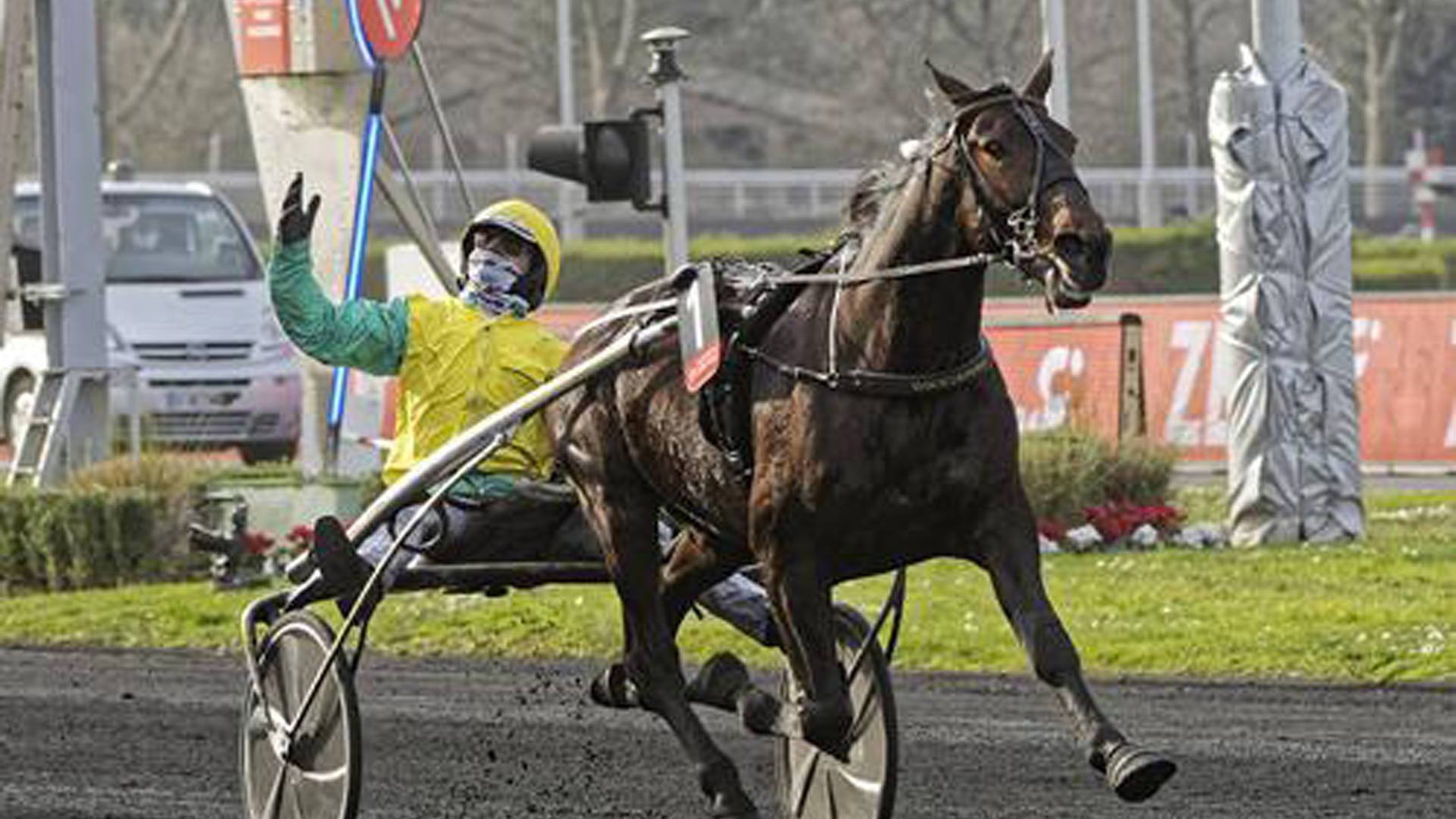 Un fenomenale Vivid Wise As vince il France