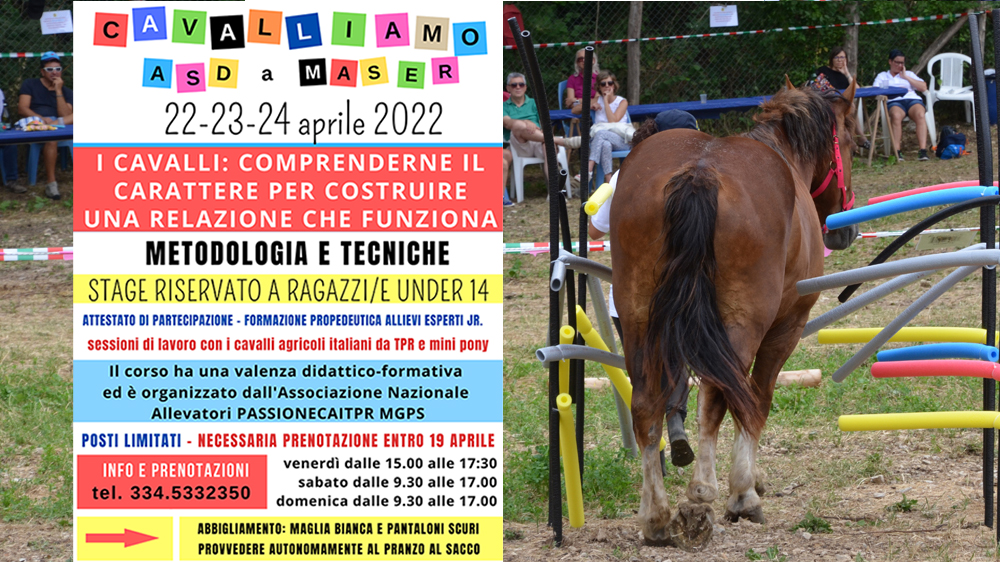Un corso Under 14 per giovani futuri Allievi Esperti