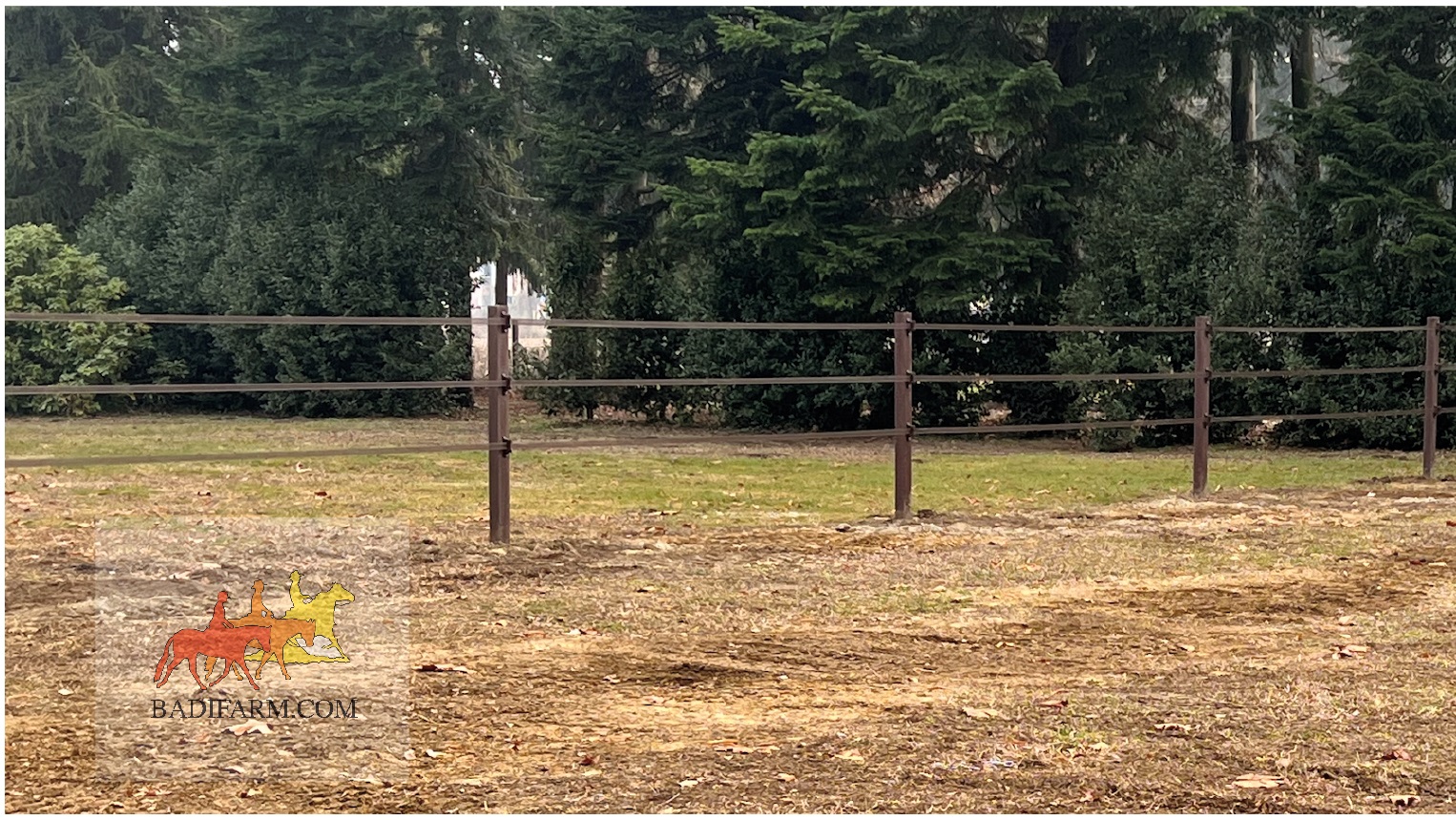 Badi Farm è il mondo del cavallo