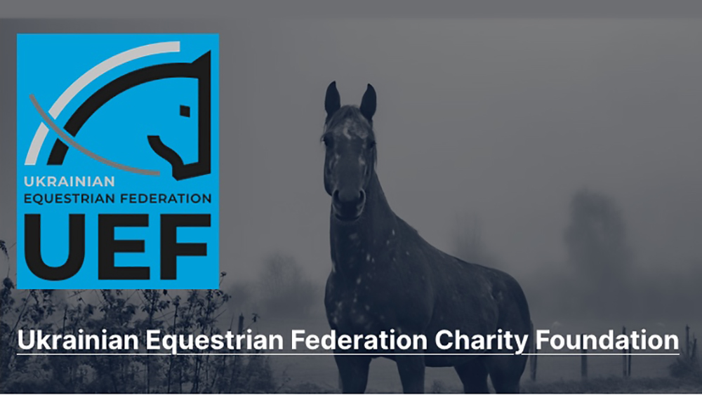 Situazione Ucraina: bene ma c’è ancora tanto da fare