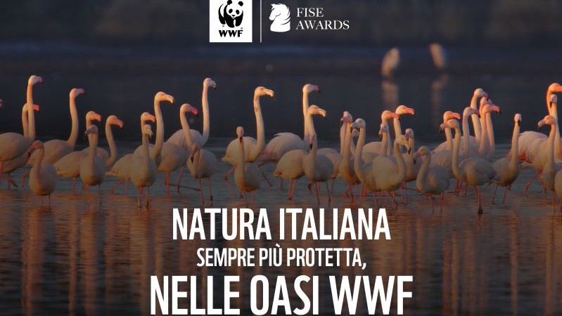 Fise Awards con WWF Italia per la conservazione della natura italiana