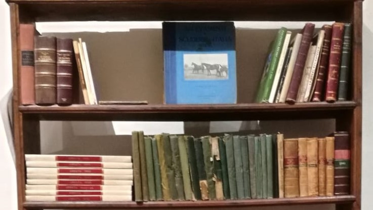 Ernesto Loccatelli: quando i libri raccontano le persone