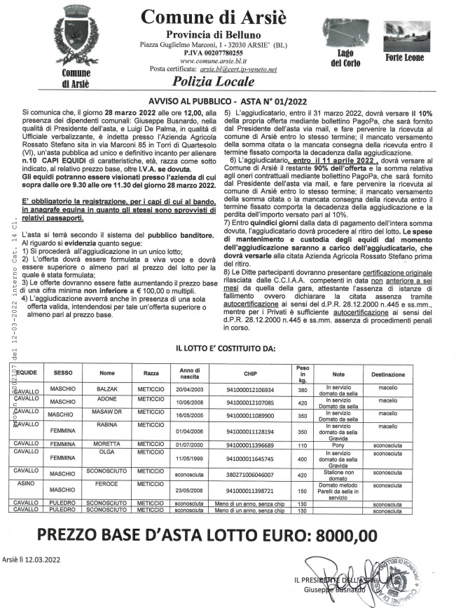 asta arsiè
