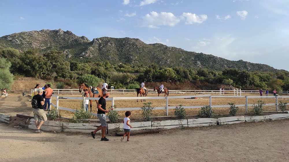 Al Palahorse di Golfo Aranci arrivano i pony