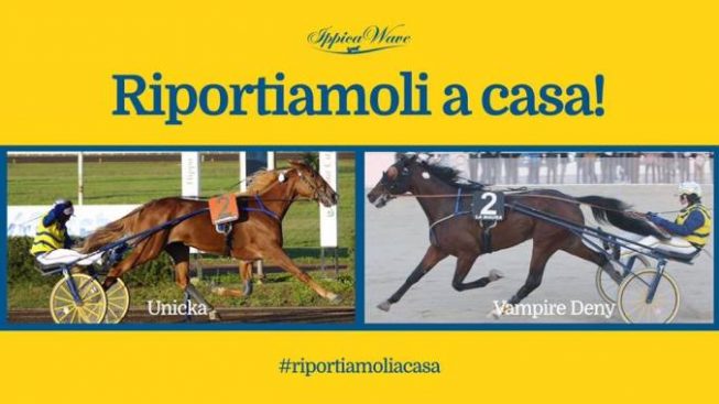 Unicka e Vampire Deny: il processo slitta ancora