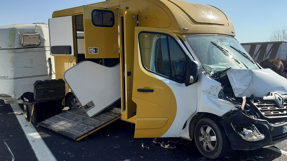 Grave incidente sulla A4. Muoiono due cavalli