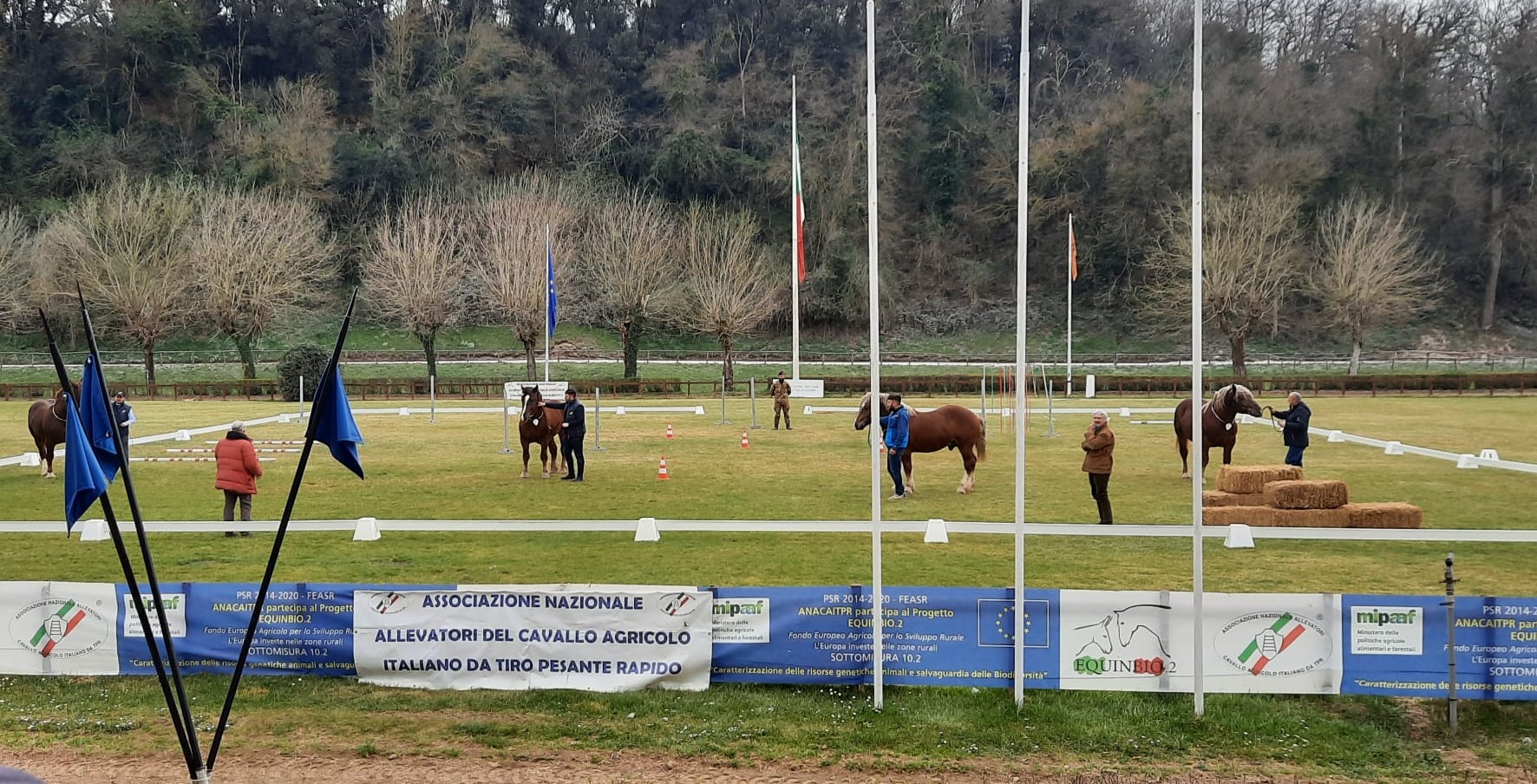 Caitpr a Montelibretti: il report del Test di Temperamento