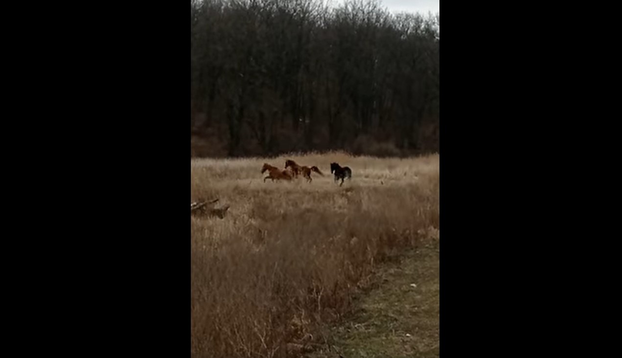 Quelli come noi, adesso, in Ucraina