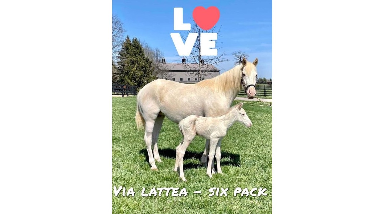 Via Lattea è diventata mamma di un bel maschietto…candido!