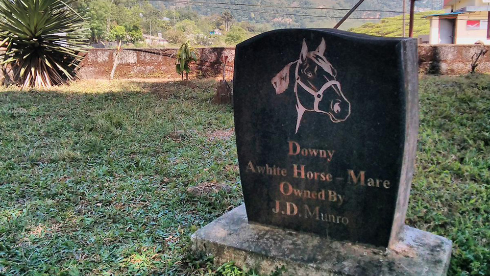 C’era una volta Mr. Munro e la sua cavalla Downy
