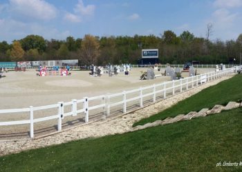 Csio giovani a Gorla: ecco le squadre azzurre