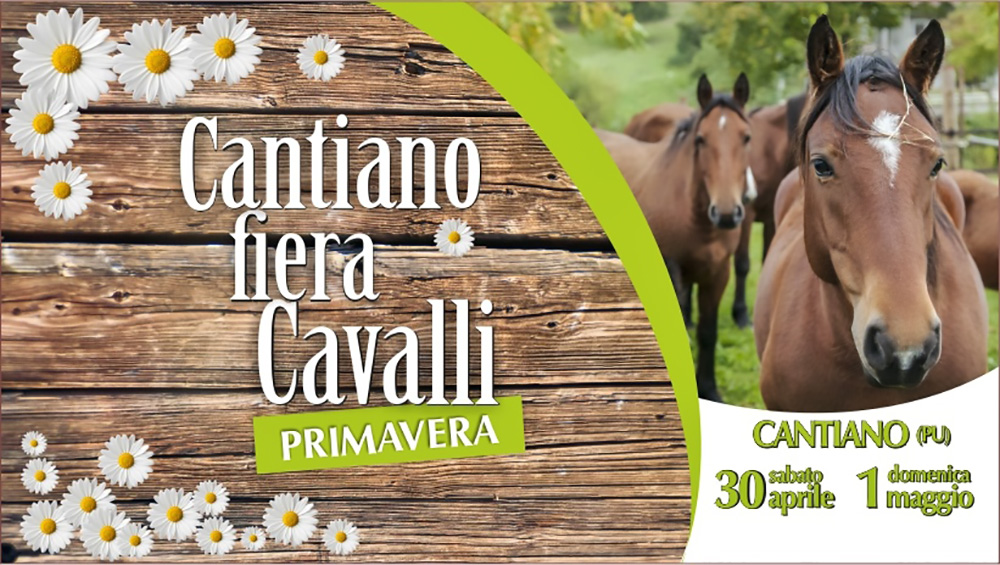 Cantiano Fiera Cavalli, assaggio di stagione