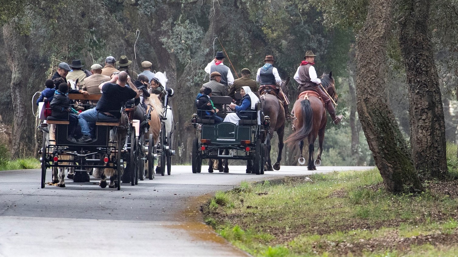 ‘Tutti in carrozza’ a Castelporziano? E’ stato bellissimo!