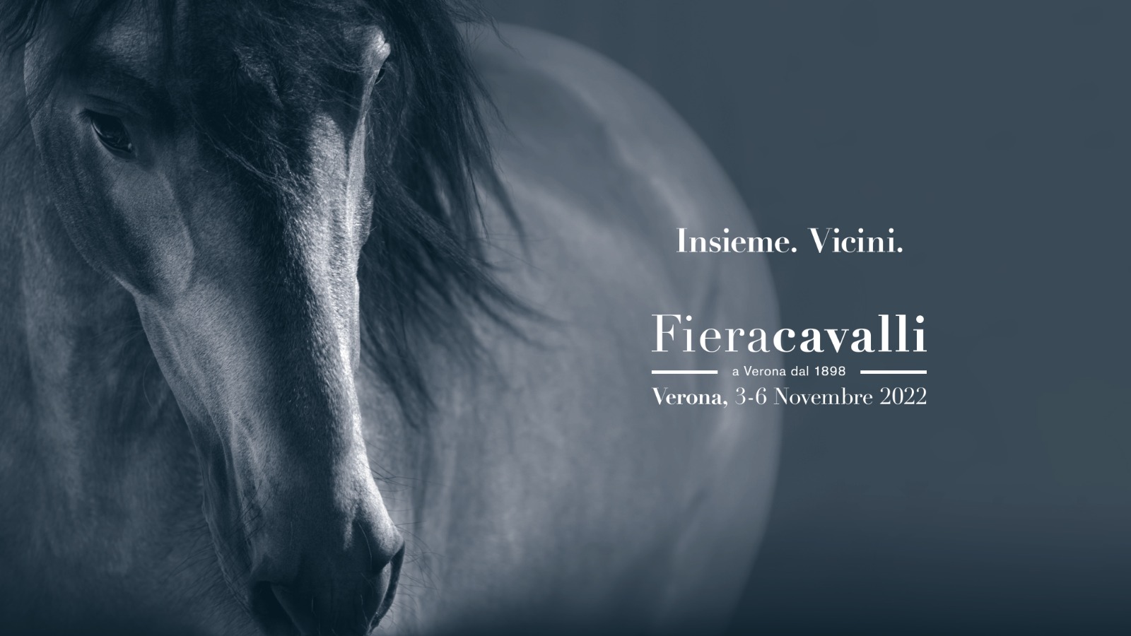Insieme, vicini: Fieracavalli 2022 torna al suo format naturale
