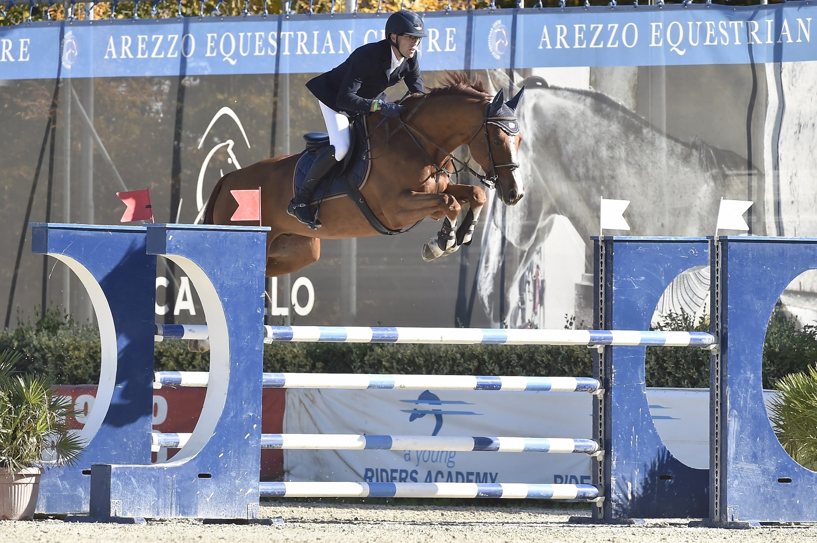 ArezzoEquestrianCentre ToscanaTour