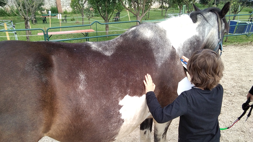 Autismo: Riding the Blue – Un cavallo per amico