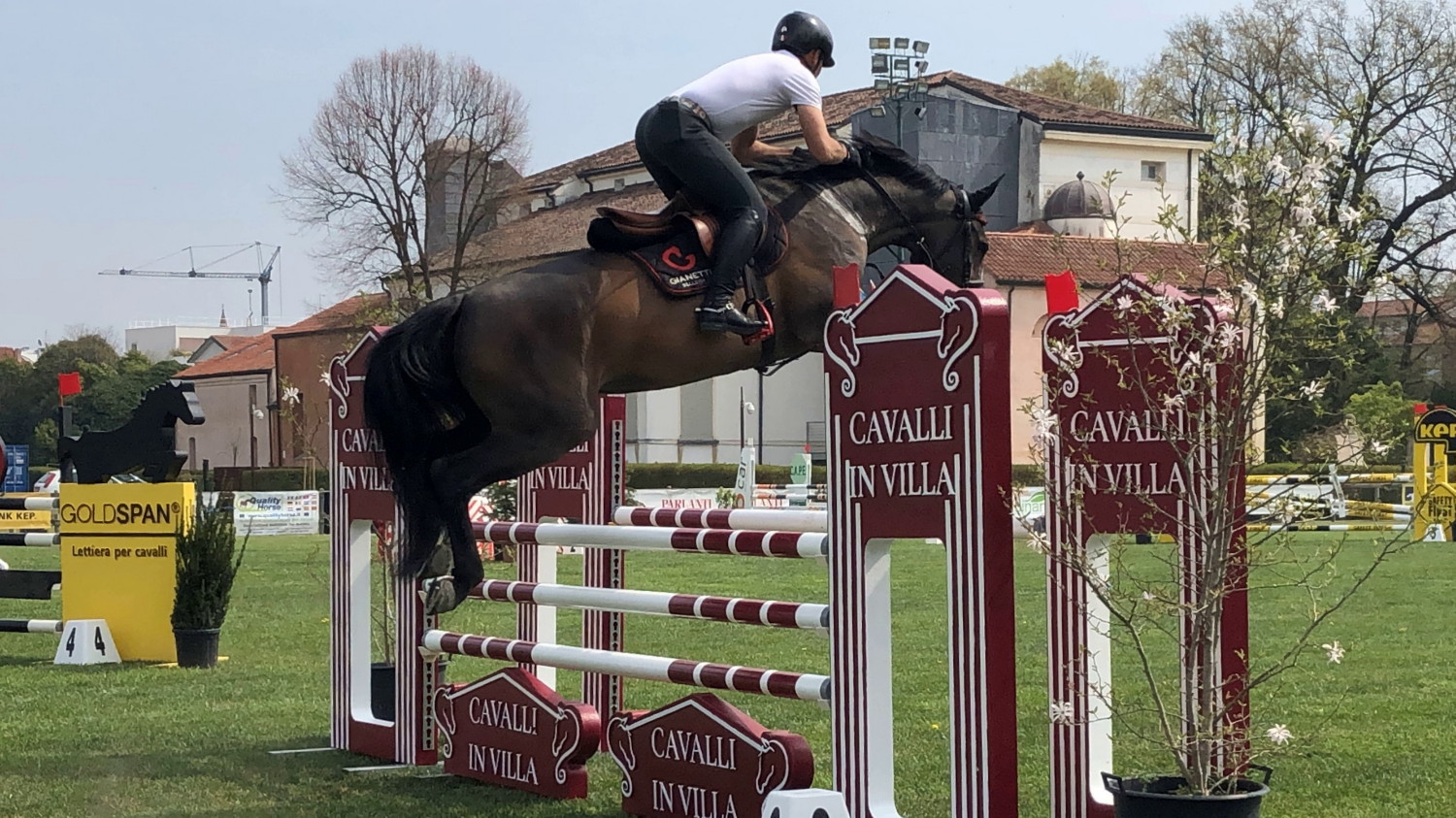 Cavalli in Villa: domani l’inaugurazione