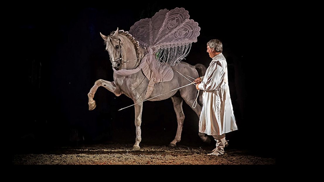 Quando il circo torna equestre: Il Regno del Cavallo dei Togni