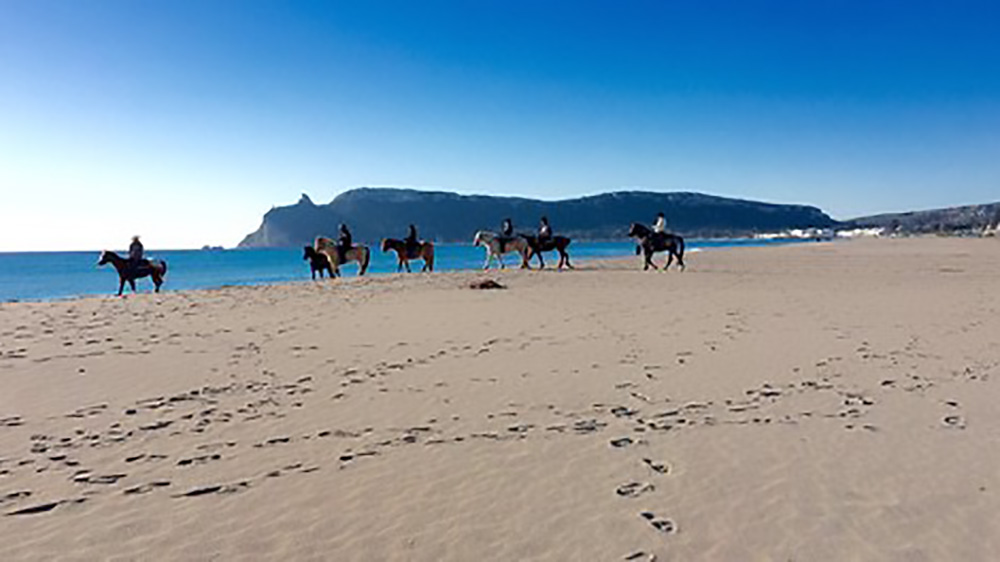 Poetto: cavallo investe ciclista
