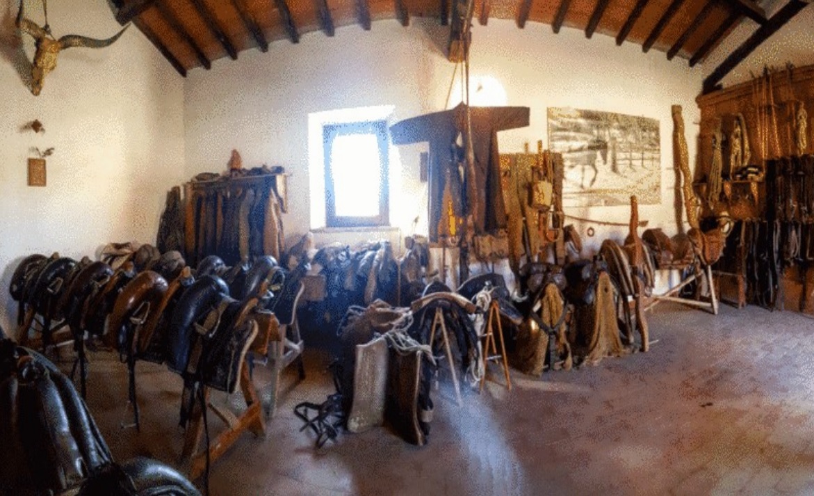 selleria alberese