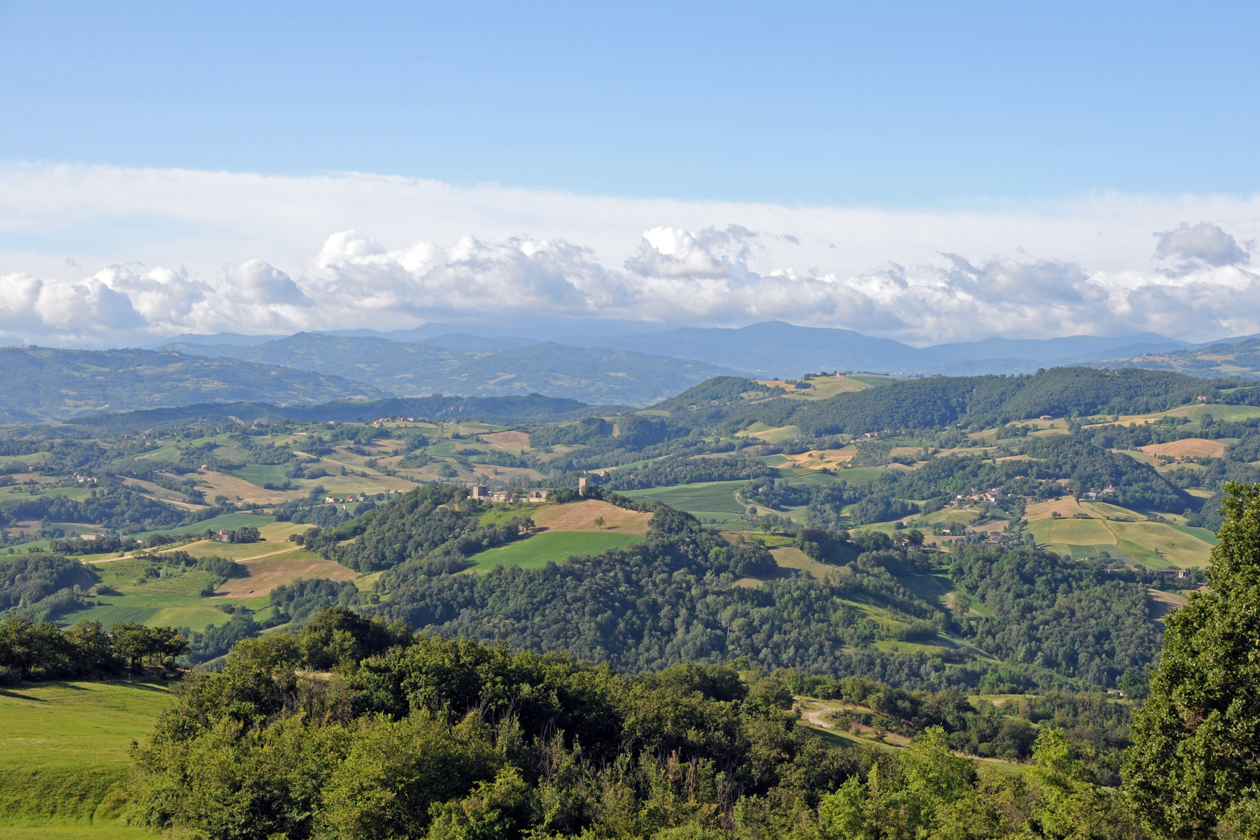 4 modena