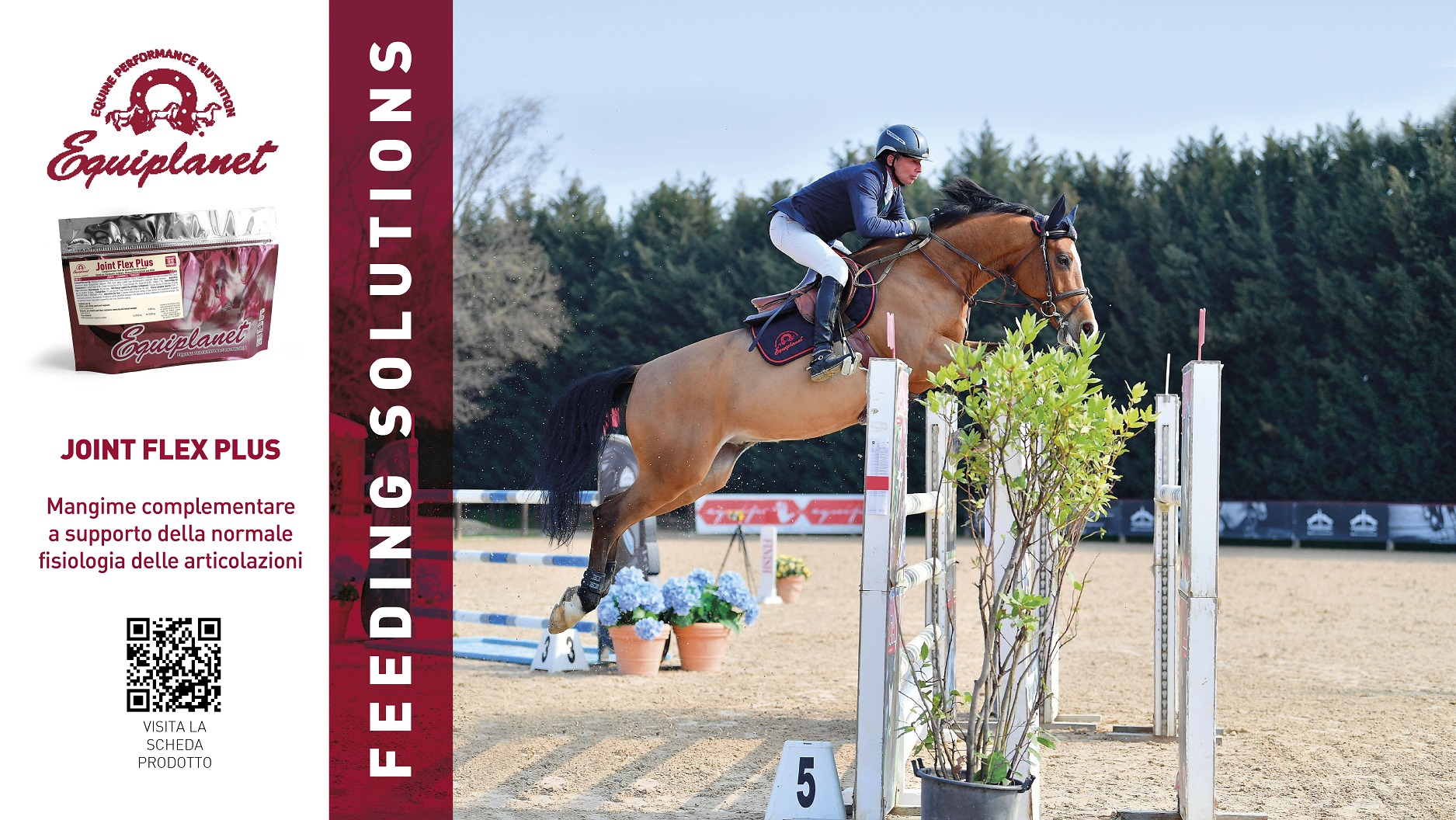 Equiplanet: benessere delle articolazioni del cavallo con Joint Flex Plus