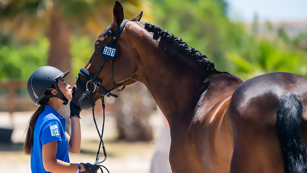 Solidarietà: la Fei non si ferma