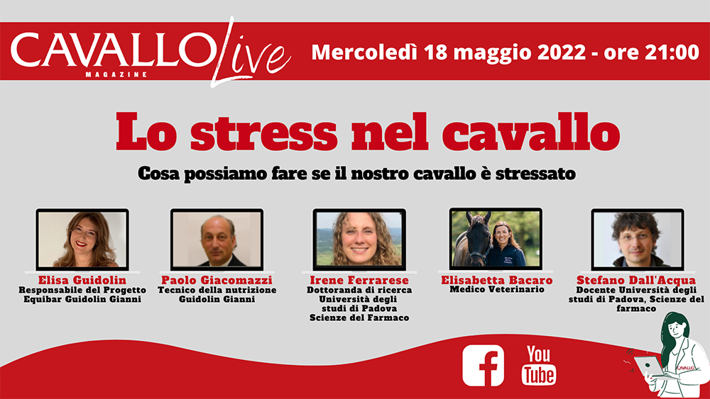 Cavallo Magazine Live: Lo Stress nel Cavallo