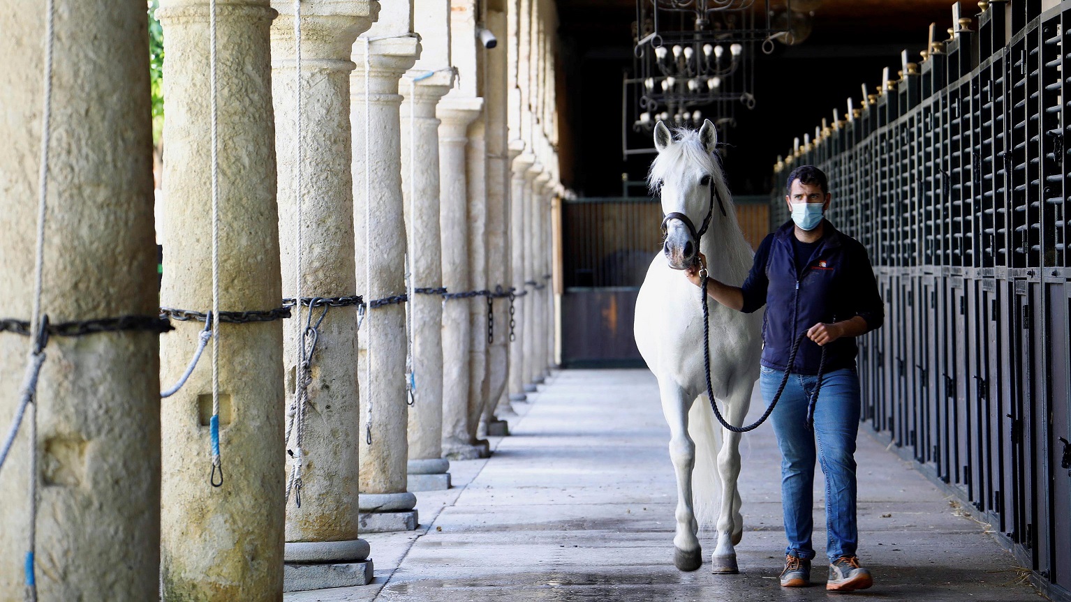 Cordoba: scuderie degne di un re