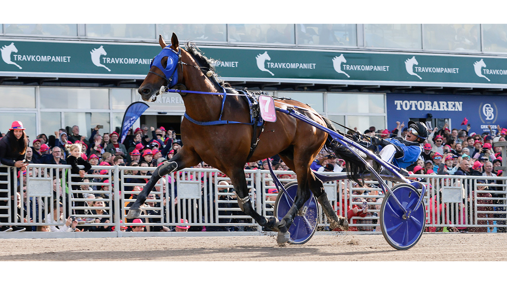 Uno strepitoso Etonnant vince l’Elitloppet 2022